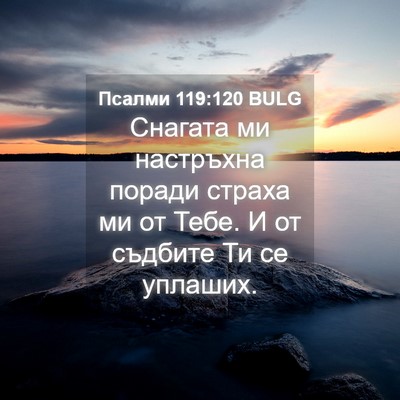 Picture 04 - Псалми 119:120 BULG - Снагата ми настръхна - Bible Verse Picture