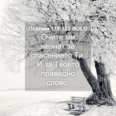 Picture 04 - Псалми 119:123 BULG - Очите ми чезнат за - Bible Verse Picture