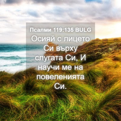 Picture 04 - Псалми 119:135 BULG - Осияй с лицето Си върху - Bible Verse Picture