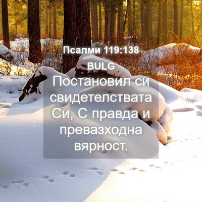 Picture 04 - Псалми 119:138 BULG - Постановил си - Bible Verse Picture