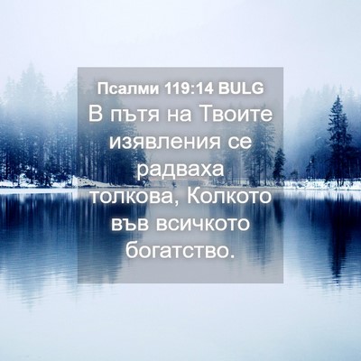 Picture 04 - Псалми 119:14 BULG - В пътя на Твоите изявления - Bible Verse Picture
