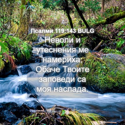 Picture 04 - Псалми 119:143 BULG - Неволи и утеснения ме - Bible Verse Picture