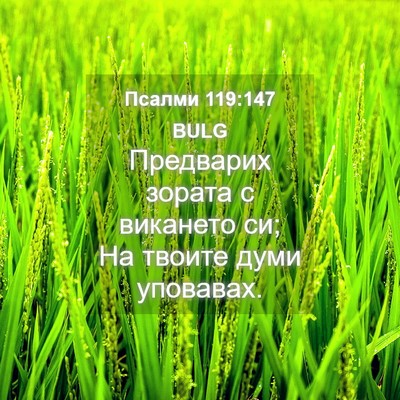 Picture 04 - Псалми 119:147 BULG - Предварих зората с - Bible Verse Picture