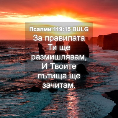 Picture 04 - Псалми 119:15 BULG - За правилата Ти ще - Bible Verse Picture