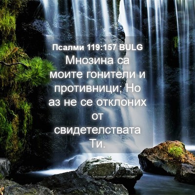 Picture 04 - Псалми 119:157 BULG - Мнозина са моите гонители - Bible Verse Picture