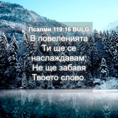 Picture 04 - Псалми 119:16 BULG - В повеленията Ти ще се - Bible Verse Picture