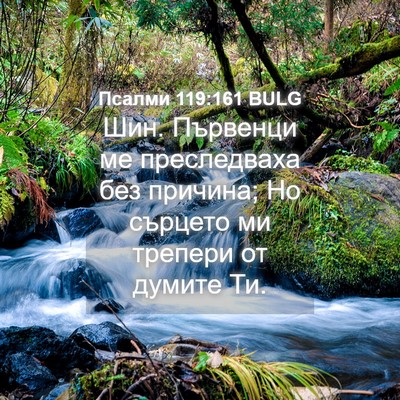 Picture 04 - Псалми 119:161 BULG - Шин. Първенци ме - Bible Verse Picture