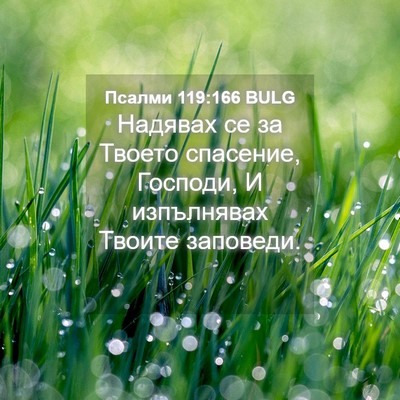 Picture 04 - Псалми 119:166 BULG - Надявах се за Твоето - Bible Verse Picture
