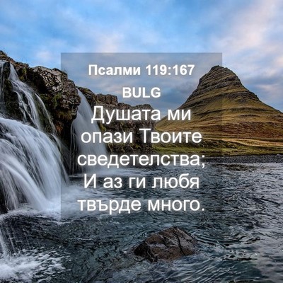 Picture 04 - Псалми 119:167 BULG - Душата ми опази Твоите - Bible Verse Picture