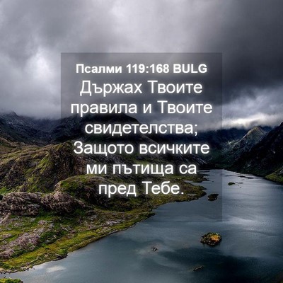 Picture 04 - Псалми 119:168 BULG - Държах Твоите правила и - Bible Verse Picture
