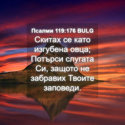 Picture 04 - Псалми 119:176 BULG - Скитах се като изгубена - Bible Verse Picture