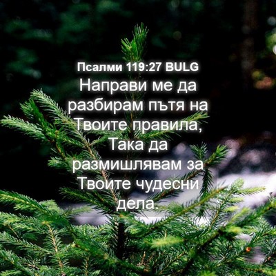 Picture 04 - Псалми 119:27 BULG - Направи ме да разбирам - Bible Verse Picture