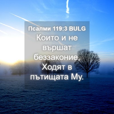 Picture 04 - Псалми 119:3 BULG - Които и не вършат - Bible Verse Picture