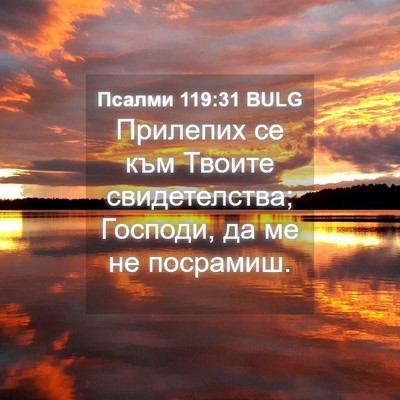 Picture 04 - Псалми 119:31 BULG - Прилепих се към Твоите - Bible Verse Picture