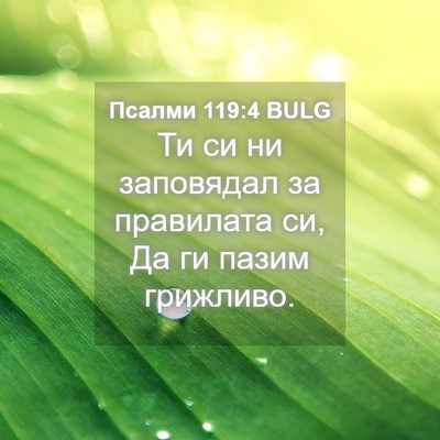 Picture 04 - Псалми 119:4 BULG - Ти си ни заповядал за - Bible Verse Picture