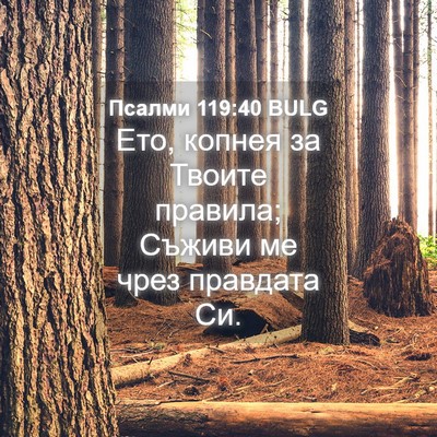 Picture 04 - Псалми 119:40 BULG - Ето, копнея за Твоите - Bible Verse Picture