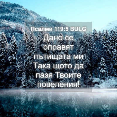 Picture 04 - Псалми 119:5 BULG - Дано се оправят пътищата - Bible Verse Picture