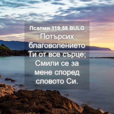 Picture 04 - Псалми 119:58 BULG - Потърсих благоволението - Bible Verse Picture