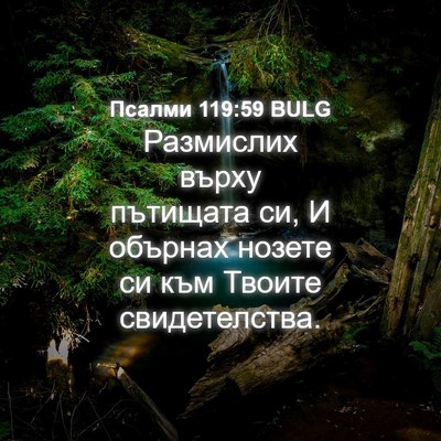 Picture 04 - Псалми 119:59 BULG - Размислих върху пътищата - Bible Verse Picture