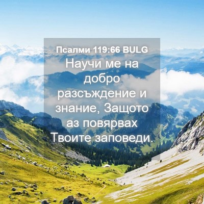 Picture 04 - Псалми 119:66 BULG - Научи ме на добро - Bible Verse Picture