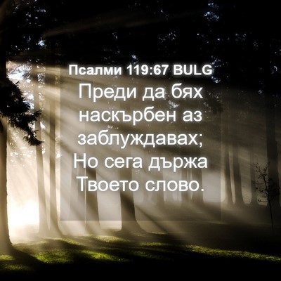 Picture 04 - Псалми 119:67 BULG - Преди да бях наскърбен аз - Bible Verse Picture