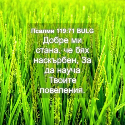 Picture 04 - Псалми 119:71 BULG - Добре ми стана, че бях - Bible Verse Picture