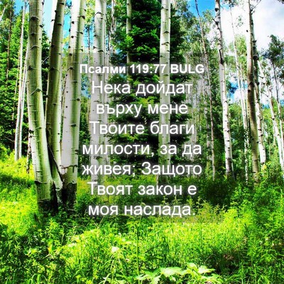 Picture 04 - Псалми 119:77 BULG - Нека дойдат върху мене - Bible Verse Picture