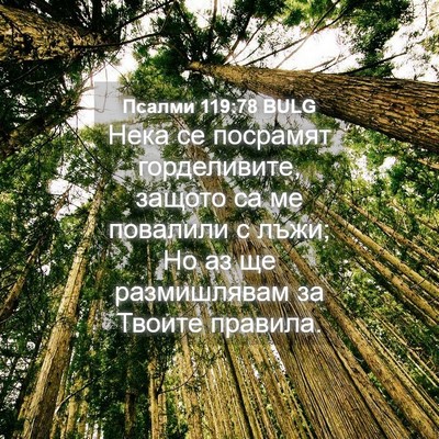 Picture 04 - Псалми 119:78 BULG - Нека се посрамят - Bible Verse Picture