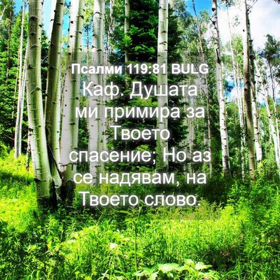 Picture 04 - Псалми 119:81 BULG - Каф. Душата ми примира за - Bible Verse Picture