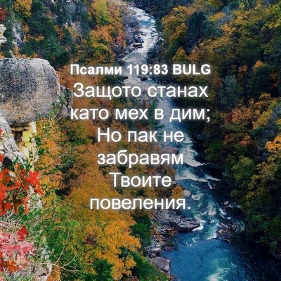 Picture 04 - Псалми 119:83 BULG - Защото станах като мех в - Bible Verse Picture