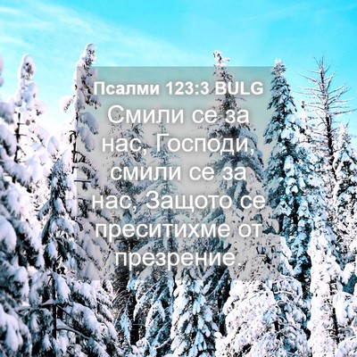 Picture 04 - Псалми 123:3 BULG - Смили се за нас, Господи, - Bible Verse Picture
