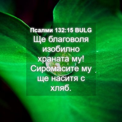 Picture 04 - Псалми 132:15 BULG - Ще благоволя изобилно - Bible Verse Picture
