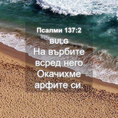 Picture 04 - Псалми 137:2 BULG - На върбите всред него - Bible Verse Picture