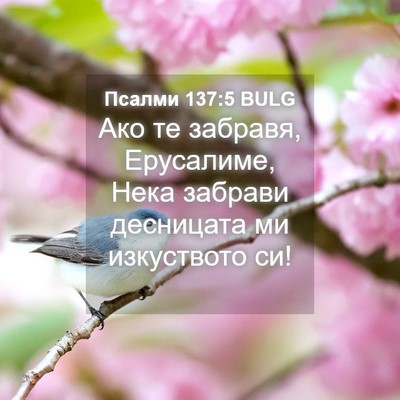 Picture 04 - Псалми 137:5 BULG - Ако те забравя, Ерусалиме, - Bible Verse Picture