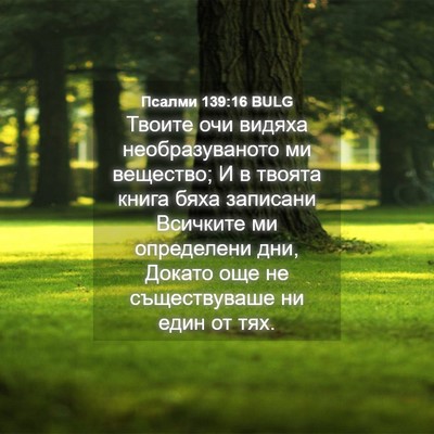 Picture 04 - Псалми 139:16 BULG - Твоите очи видяха - Bible Verse Picture