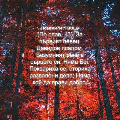 Picture 04 - Псалми 14:1 BULG - (По слав. 13). За първият - Bible Verse Picture