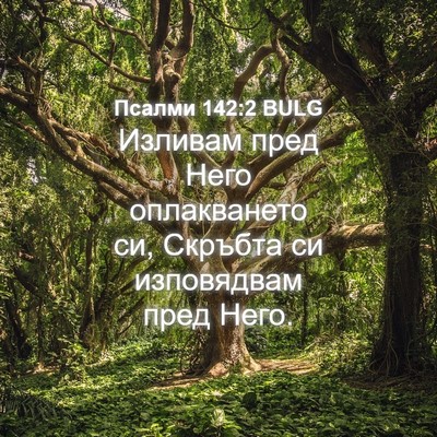 Picture 04 - Псалми 142:2 BULG - Изливам пред Него - Bible Verse Picture