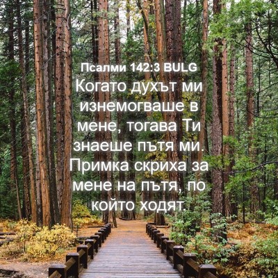 Picture 04 - Псалми 142:3 BULG - Когато духът ми - Bible Verse Picture