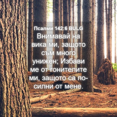 Picture 04 - Псалми 142:6 BULG - Внимавай на вика ми, защото - Bible Verse Picture
