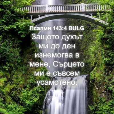 Picture 04 - Псалми 143:4 BULG - Защото духът ми до ден - Bible Verse Picture