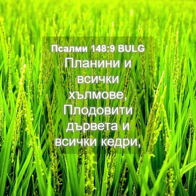 Picture 04 - Псалми 148:9 BULG - Планини и всички хълмове, - Bible Verse Picture