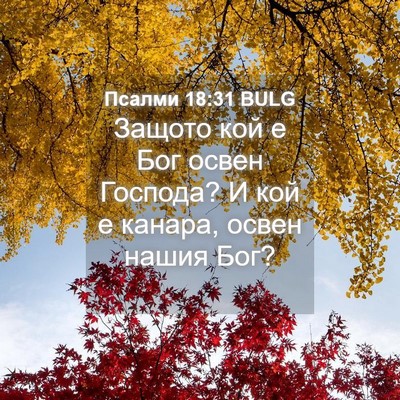 Picture 04 - Псалми 18:31 BULG - Защото кой е Бог освен - Bible Verse Picture