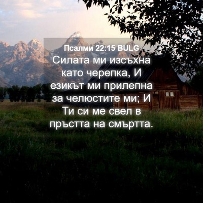 Picture 04 - Псалми 22:15 BULG - Силата ми изсъхна като - Bible Verse Picture