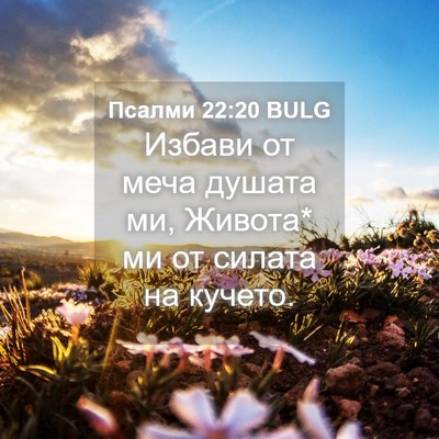 Picture 04 - Псалми 22:20 BULG - Избави от меча душата ми, - Bible Verse Picture
