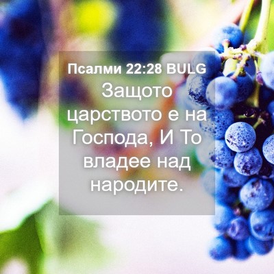 Picture 04 - Псалми 22:28 BULG - Защото царството е на - Bible Verse Picture