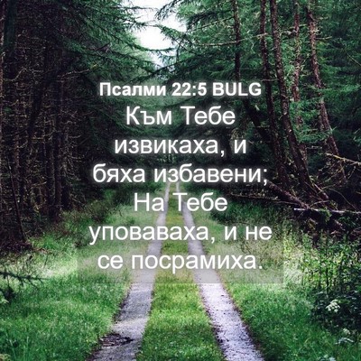 Picture 04 - Псалми 22:5 BULG - Към Тебе извикаха, и бяха - Bible Verse Picture