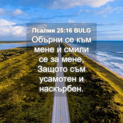 Picture 04 - Псалми 25:16 BULG - Обърни се към мене и смили - Bible Verse Picture