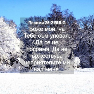 Picture 04 - Псалми 25:2 BULG - Боже мой, на Тебе съм - Bible Verse Picture