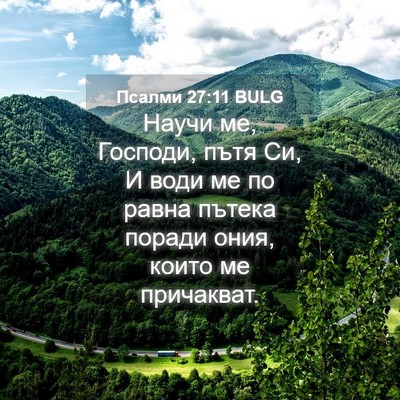 Picture 04 - Псалми 27:11 BULG - Научи ме, Господи, пътя Си, - Bible Verse Picture