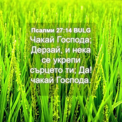 Picture 04 - Псалми 27:14 BULG - Чакай Господа; Дерзай, и - Bible Verse Picture